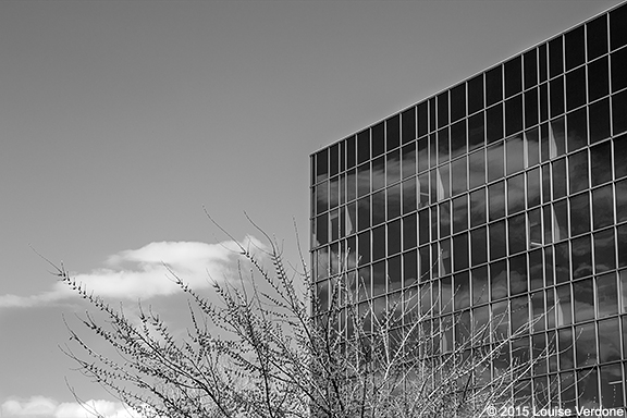 Cloud and Tree