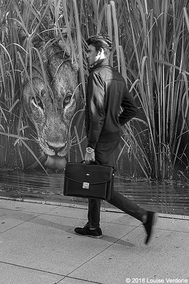 Briefcase and Lion