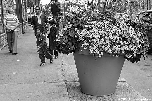 Pot de fleurs