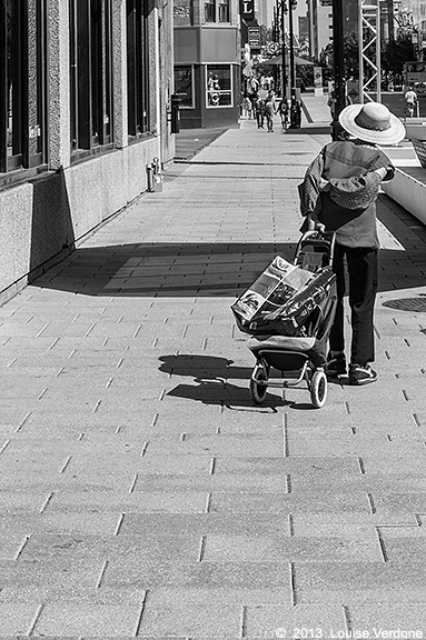 Hat and Shopping Cart