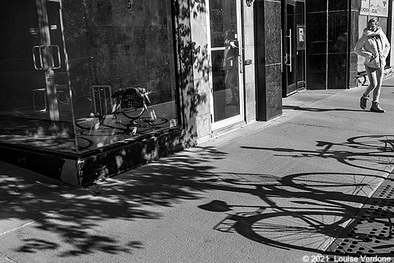 Ombres arbre et vélo