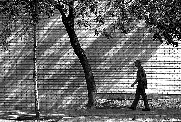 Diagonal Shadows