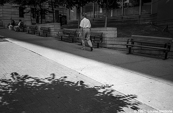 Shadows and Benches