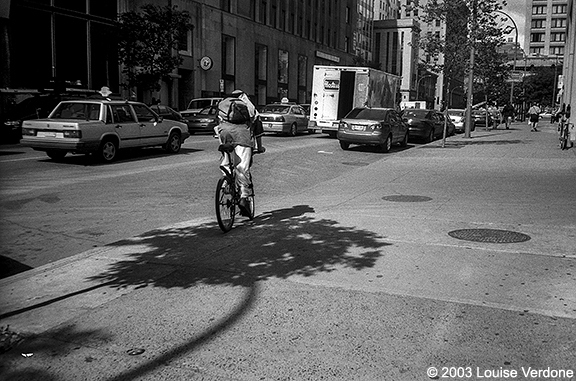 Biking the Tree Shadow