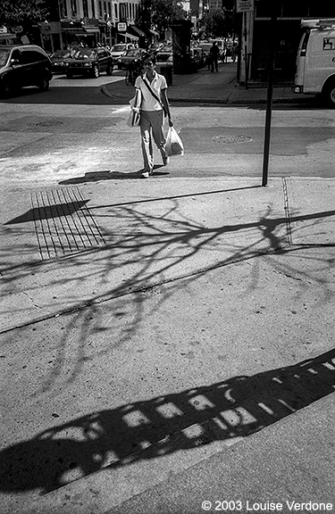 Ombres d'arbre au milieu