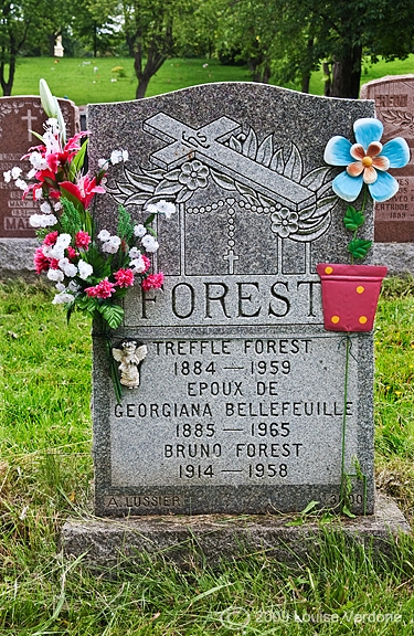 Flowers, Angel and Flower Pot