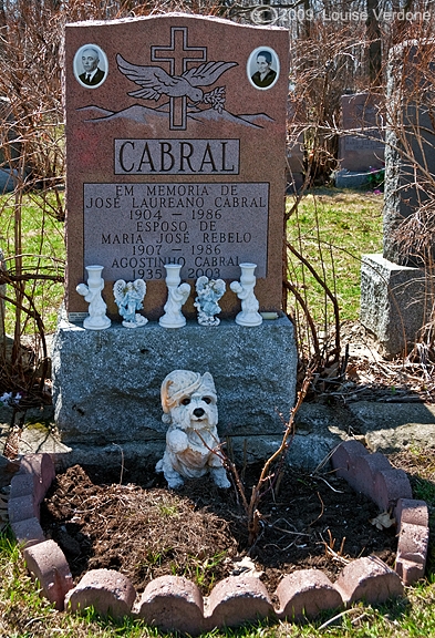 Angels and Dog