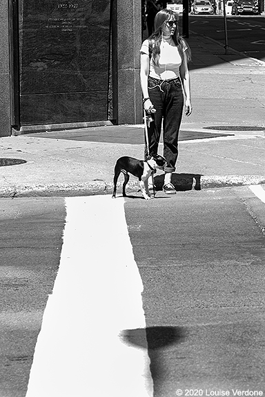 Line and Dog