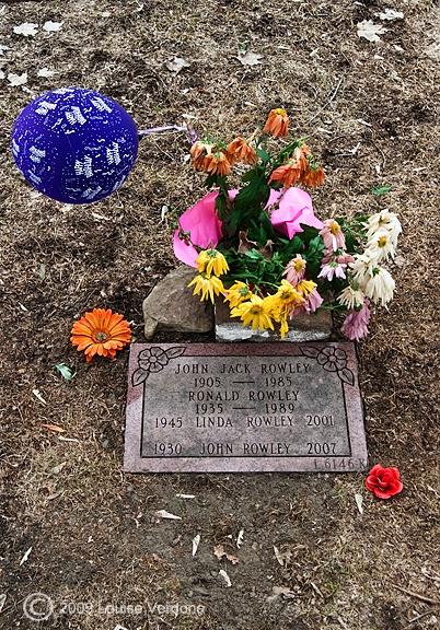 Balloon and Flowers