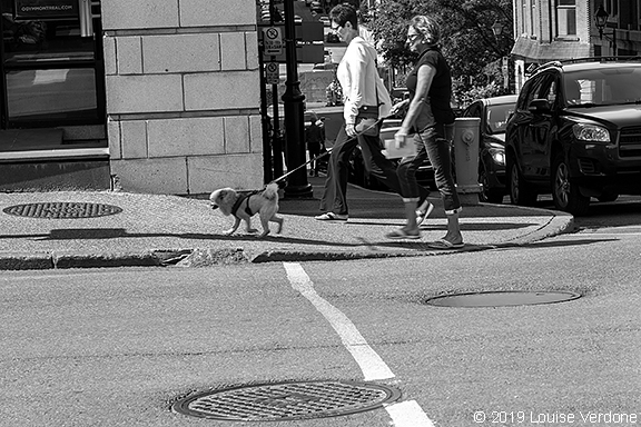 Ligne et promener le chien