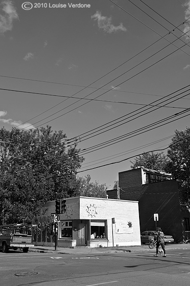 Wires and Woman with Dog