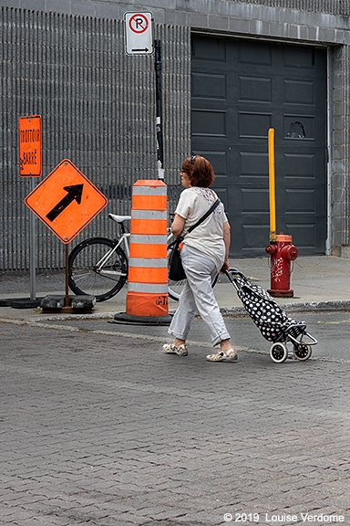 Shopping Cart