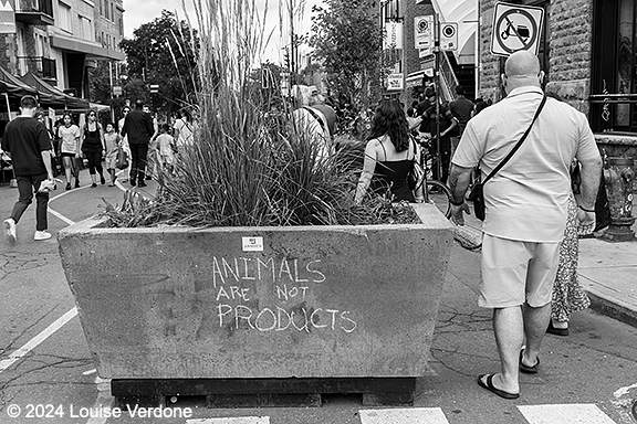 Animals Are Not Products