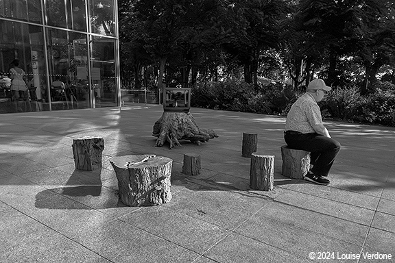 TV and Tree Stumps