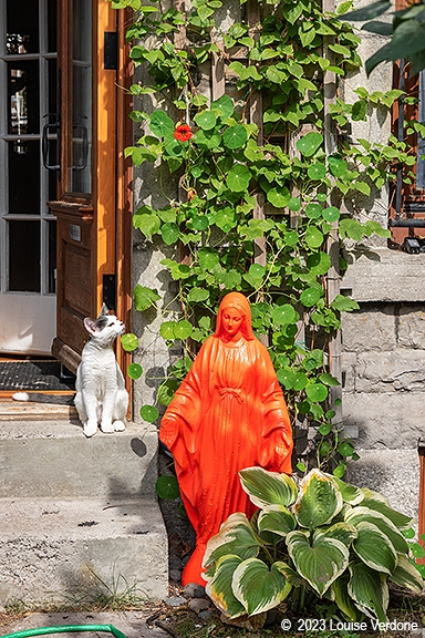 Orange Virgin Mary