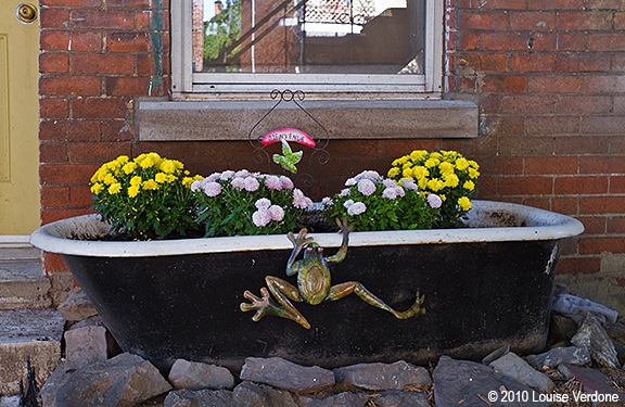 Baignoire avec grenouille