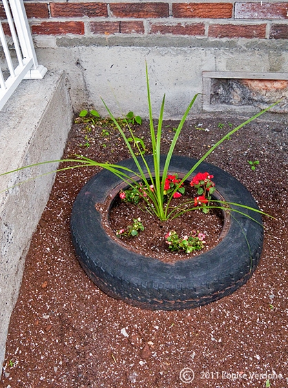 Tire Garden