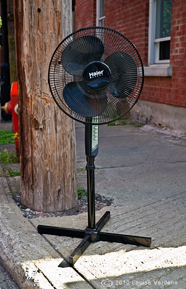 Fan