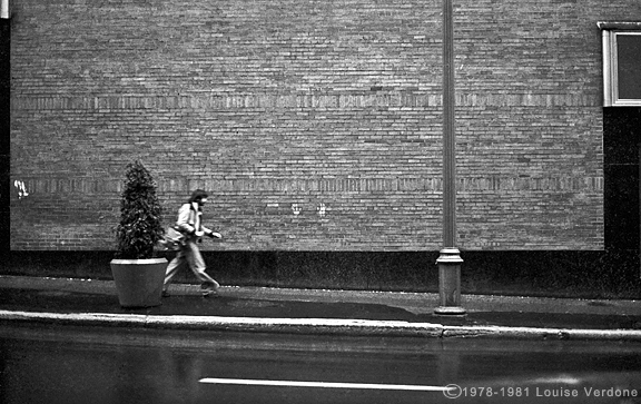 En passant un arbuste