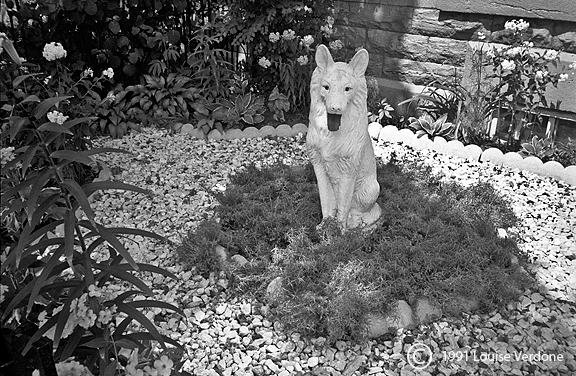 Jardin avec statuette de chien