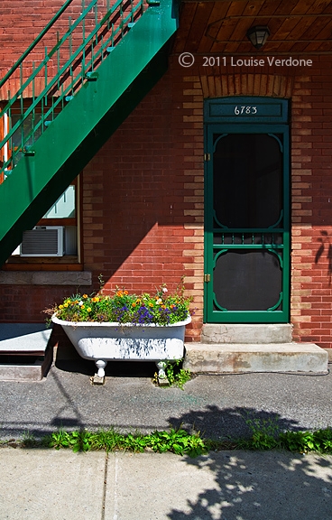 Baignoire de fleurs