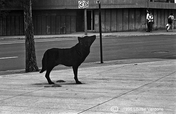 Sculpture d'un chien