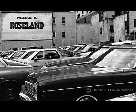 Cars and Roseland