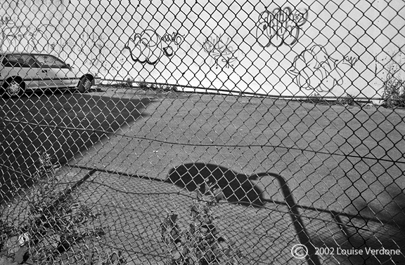 Caged Car and Graffiti