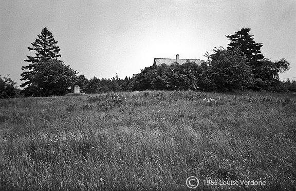 Tombstone in a Field