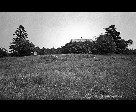 Tombstone in a Field