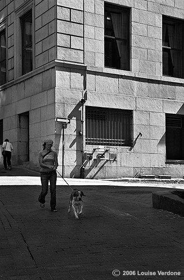 Woman and Dog in the Dark 2