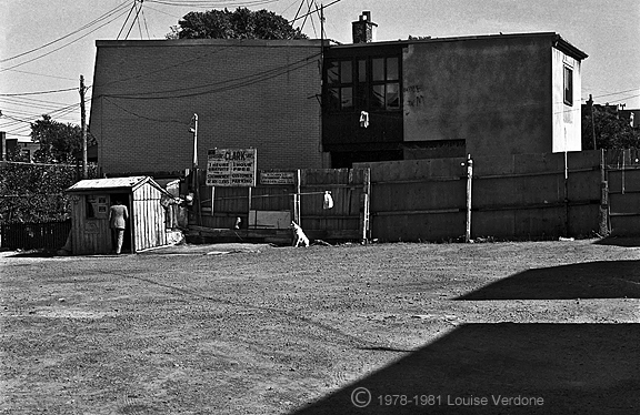 Shed and Dog